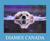 Diamex Canada